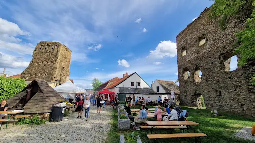 Zrícenina hradu Řícany