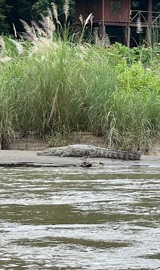 Tikauli Jungle-奇旺