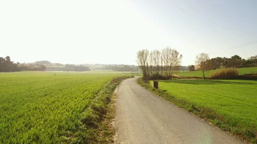 Pallerols de Rialb