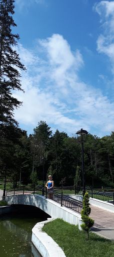 Park "Sveti Georgi"-多布里奇