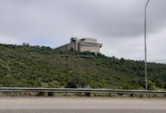 Sunnyside Garden Centre购物图片