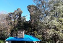 Avalon Community Park and Pool景点图片