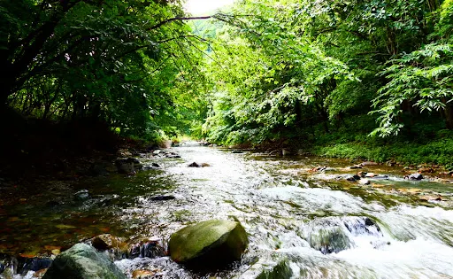 南茅部河川公園
