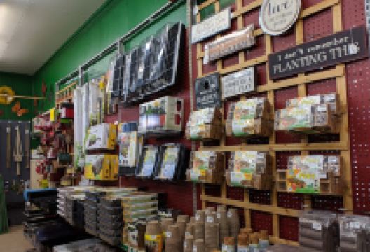 Top Crop Too购物图片