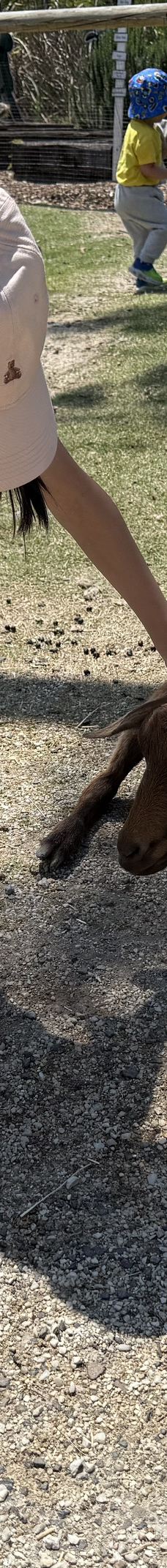 天堂农庄-奥克森福德