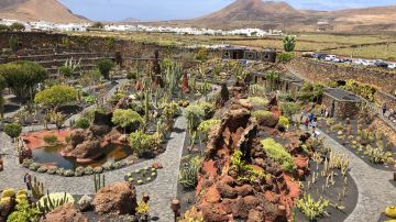 Jardin de Cactus