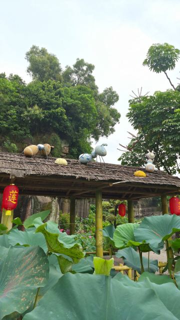 莲花山景点图片 29