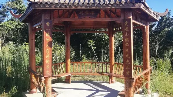 沖天鶴