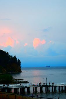 Kępa Redłowska-格丁尼亚