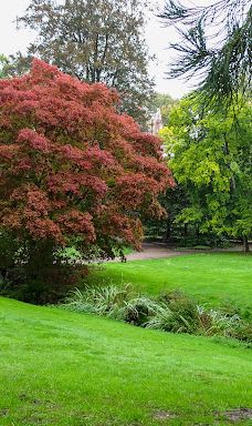 Nerotal-Anlagen-威斯巴登