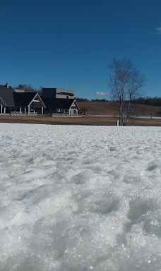 Viešura kalns-马多纳