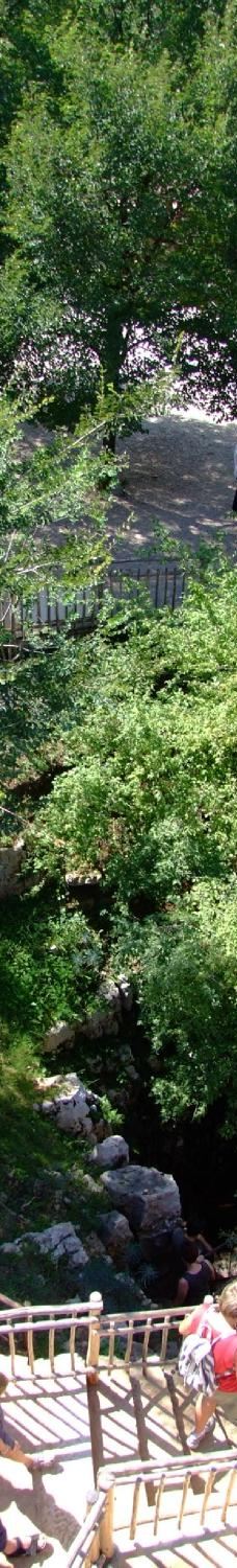 Jama - Grotta Baredine-Gedici