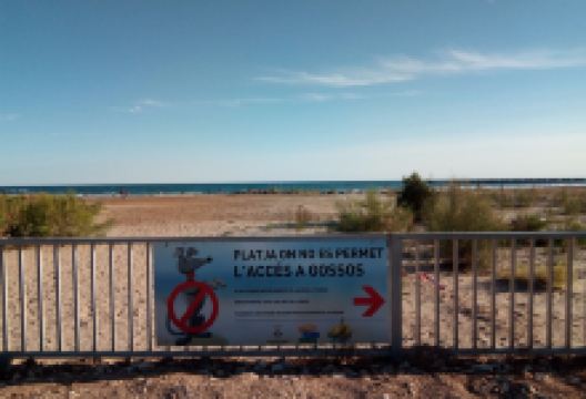 Playa de Les Salines景点图片