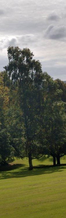 议会大厦-贝尔法斯特