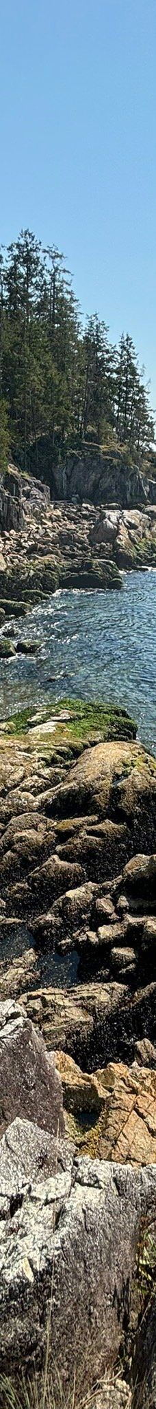 灯塔公园-西温哥华