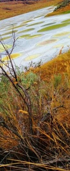 斑点湖-奥索尤斯