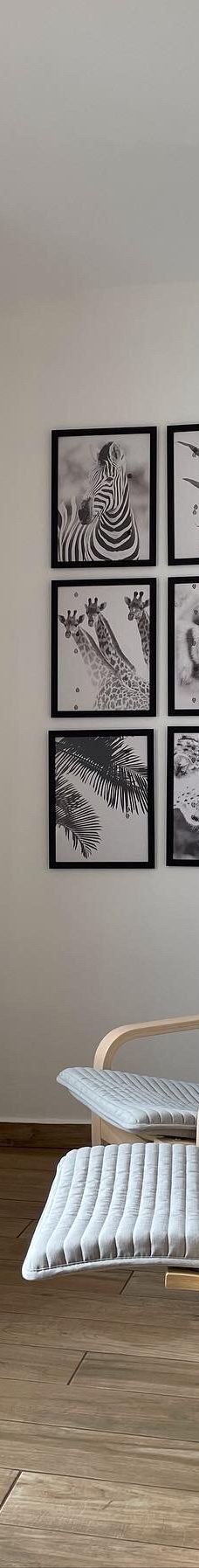 马尔马里斯-马米勒斯