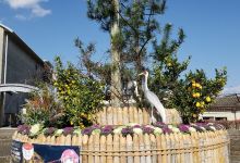 Izumi City Crane Center景点图片