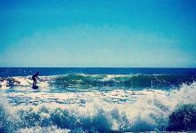 Pit Surf Shop - Surf Camp/Lessons购物图片