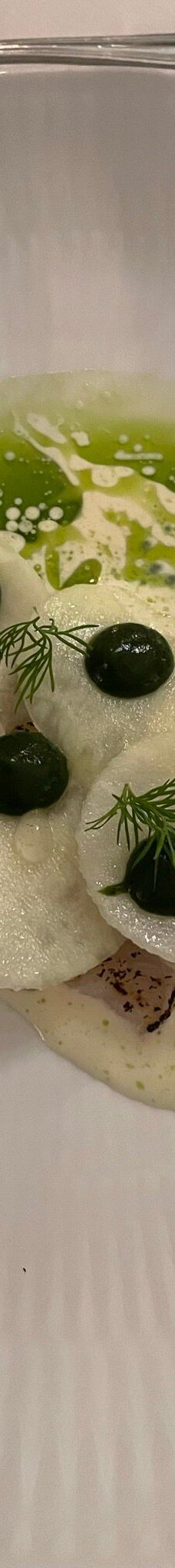 Holckenhavn Slot-尼堡