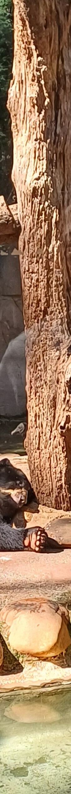 Parque Zoologico Municipal Quinzinho De Barros-索罗加巴