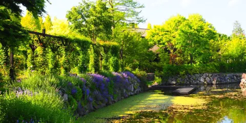 輕井澤湖花園