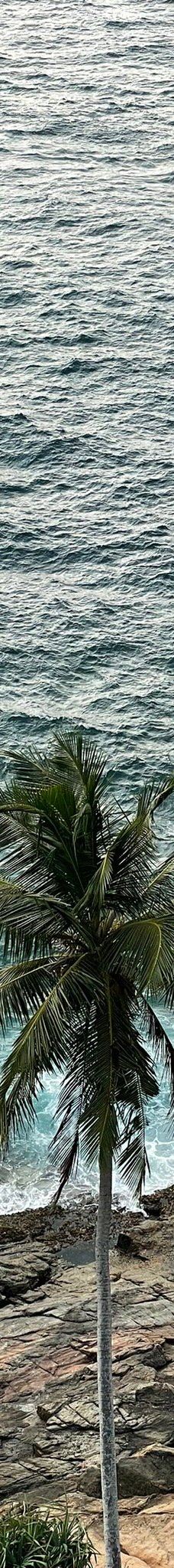 Barberyn Island Lighthouse-贝鲁沃勒