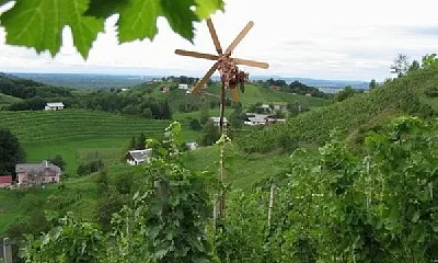 Lavender Farm Haloze