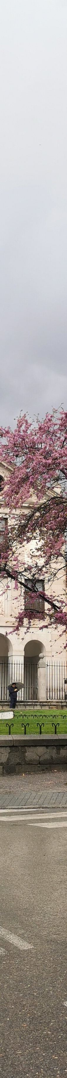 王室化身修道院-马德里