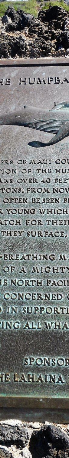 Papawai Scenic Lookout-茂宜县