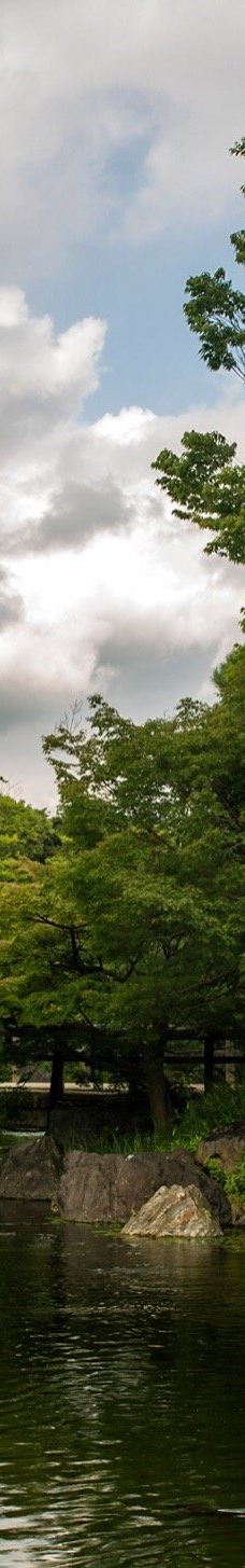 白鸟庭园-名古屋