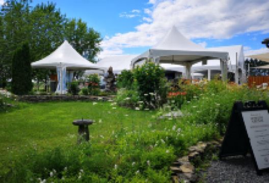 Domaine & Vins Gelinas景点图片