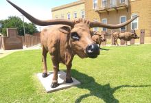 Old Greer County Museum & Hall of Fame Inc.景点图片