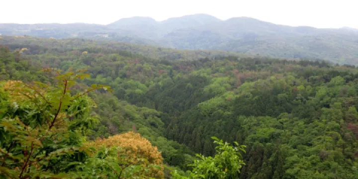 八曽自然休養林