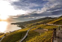 Massy Vins景点图片