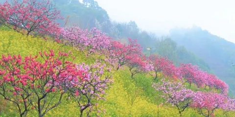 Experience Park Kamenoko Naokawa