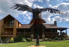 Hawk Ridge Winery景点图片