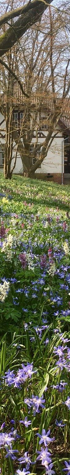 Alter Botanischer Garten-基尔