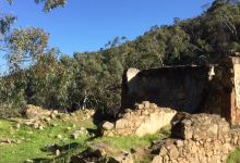 Anstey Hill Recreation Park景点图片