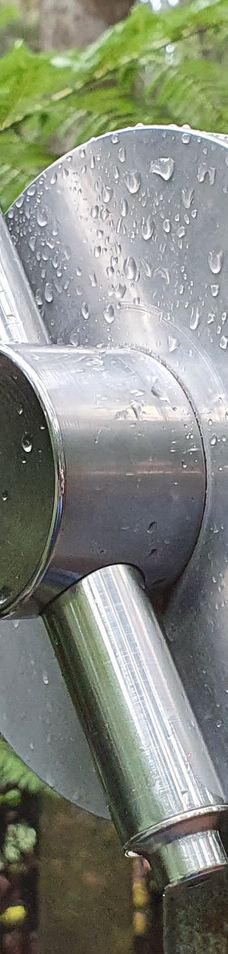 Tall Trees Walk-Mount Field