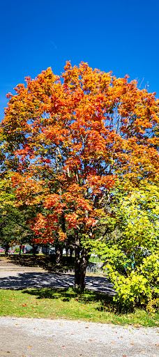 Aulendorf Park-奥伦多夫