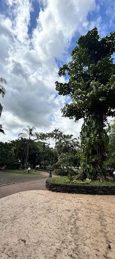 Bougainville Park-帕皮提