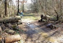 Kellogg nature trails景点图片