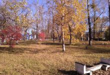 Park Kul'tury I Otdykha "Amur"景点图片