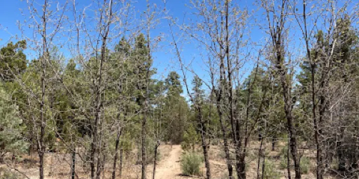 Tall Timbers Trailhead