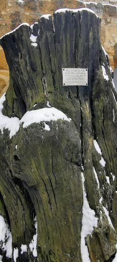 Giechburg-谢斯利茨