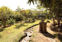 Domaine de la Cascade | Plantation Lansargues景点图片