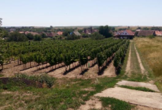 Přírodní památka Skalky u Havraníků景点图片