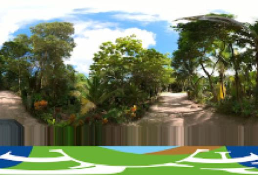 Island Gully Falls景点图片