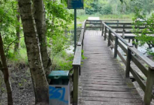 Feuchtbiotop an der Leipziger Straße景点图片